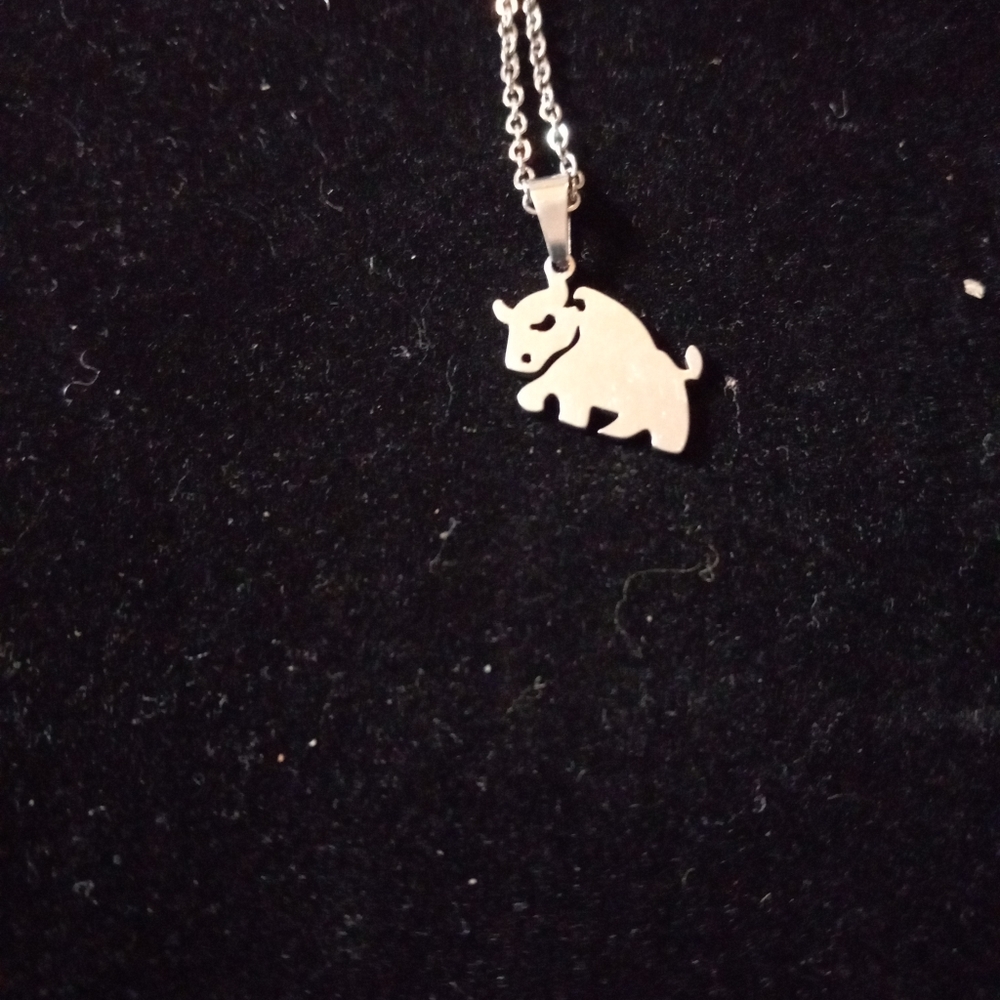 Pendant Necklace